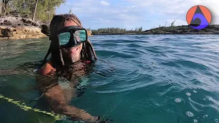 Living the cruising life in Current Cut | Drift-diving & home-made pizza [WIN Ep 111]