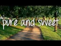 American Honey - Lady Antebellum + HD Lyrics