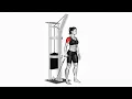Lagu Cable One Arm Front Raise – Shoulder Isolation Exercise | Gym-Animations Demo