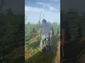 Trimming Christmas Trees Cutting trees for Holiday Season