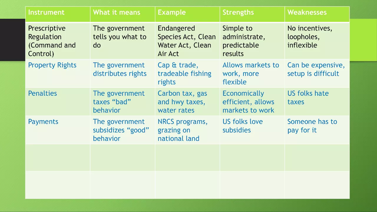 The 6 Ps of Environmental Policy Instruments