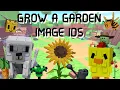 GROW A GARDEN Image Id For Roblox