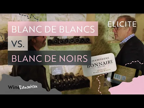 Download MP3 Champagne Types: Blanc De Blancs Vs Blanc De Noirs