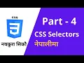 Learn CSS CSS Selectors in Nepali Web Development - 04