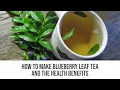 Health Benefits Of Blueberry Leaf Tea How To Make It - Don t Just Eat The Berries