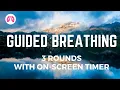 Lagu Guided Breathing (3 rounds with onscreen timer)