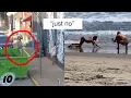 Top 10 Influencers Caught On Camera In The Wild - Part 2