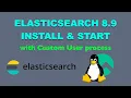 Elasticsearch 8 9 with custom user process