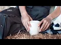 وش أخباري - ذكرى .