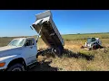 Dirty Jobs Done Dirt Cheap