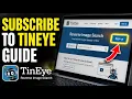 How to subscribe to TinEye for reverse-searching brand images - Beginner Guide