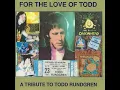 For The Love Of Todd - A Tribute To Todd Rundgren