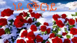 አባዩ ዘውዴ ፍቅር ነይ ፍቅር ነይ Abayu Zewde 