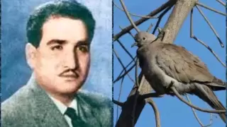 أقول وقد ناحت بقربي حمامة    ناظم الغزالي دندنها