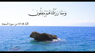 فلا تعلم نفس ما أخفي لهم من قرة أعين جزاء بما كانوا يعملون   القارئ أحمد النفيس   التفسير بالوصف دندنها