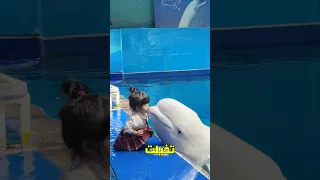 اول مره اشوف دولفين 