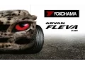 Lagu YOKOHAMA - ADVAN FLEVA V701