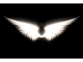 Download Lagu Angels - Robbie Williams (lyrics) HD