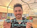 Download Lagu Tere Fidelerimiz Hazır 🌱 Sistemimize Ekiyoruzzz