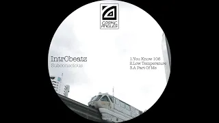 intr0beatz a part of me