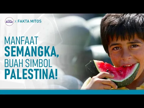 Jadi Simbol Dukung Palestina, Ini Manfaat Ajaib Semangka