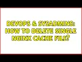 DevOps SysAdmins How to delete single nginx cache file 5 Solutions