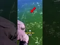 Channel