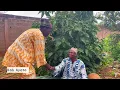 Download Lagu Dah Ayato- Sa chauffe sur moi 