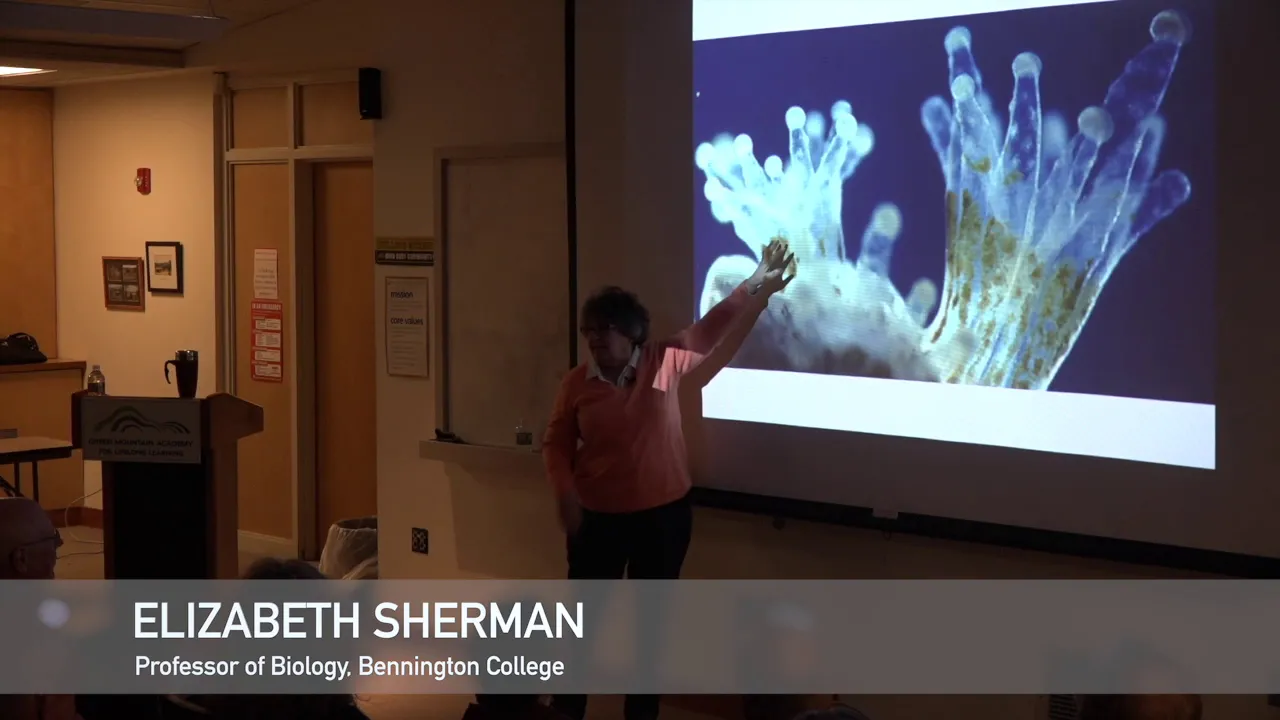 GMALL Lectures - Coral Reefs and Climate Change