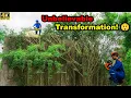 Download Lagu Cleaning an Abandoned House After 20 Years 🏚️ | Overgrown Jungle Turned Into a Home Again