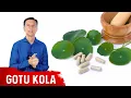 The Benefits of Gotu Kola
