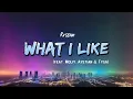 Lagu Rvssian, Moliy, Ayetian, Tyga - What I Like (Lyrics)