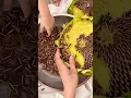 Download Lagu Petani cerdas panen kuaci yang sangat segar dan melimpah #shorts