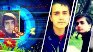 ترانه در وصف شهیدان 