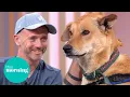 Meet The Man Spending 12k a Week to Feed Street Dogs This Morning
