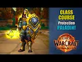 Class Course A Protection Paladin Rotation Guide for Beginners The War Within 11 1 5