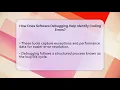 How Does Software Debugging Help Identify Coding Errors Learn To Troubleshoot News