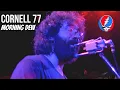 Grateful Dead Cornell 77 - Morning Dew simulated