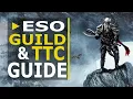 ESO Guild Guide Guild Trader Tamriel Trade Center Overview