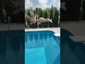 Lagu RUNNING AND HIGH JUMP DIVING into Clean Swimming Pool #shorts
