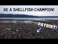 Finding Clam and Oyster Beaches in Washington State