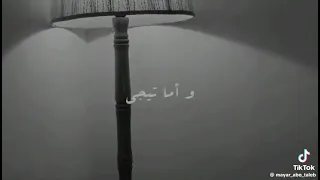 مش هتلقي حد بعدي يفهمك   دندنها