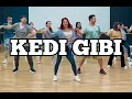 Download Lagu KEDI GIBI by Tarkan | Salsation® Choreography by SMT Julia Trotskaya