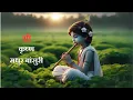 Download Lagu Krishna's Flute|| (बांसुरी) Morning Flute ,Yoga Music ,Indian Relaxing Flute,  Positive Energy 24/58