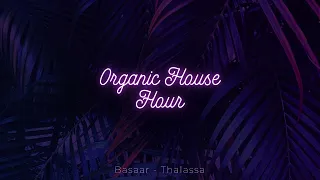 Organic House Hour 123 Bpm Dj Set 