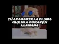 TORNILLO (+_+) YA NO ME BUSQUES (LETRA)