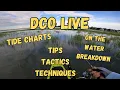 How to Read Tide Charts to Catch More Fish