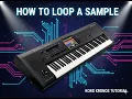 Lagu How to set a loop for a sample on korg kronos 3 in 90 seconds