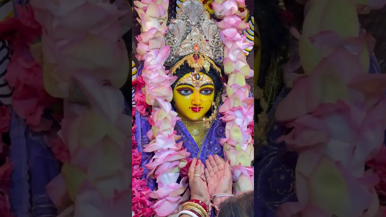 🌺জয় মা মনসা🌺