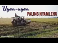 Download Lagu UYON UYON JAWA PALING NYAMLENG - COCOK DINIKMATI SINAMBI LEYEH-LEYEH